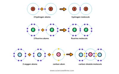 Learn about Bonding