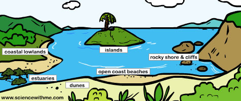 Coastal Ecosystem