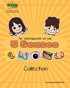 An Introduction to the 5 Senses Collection