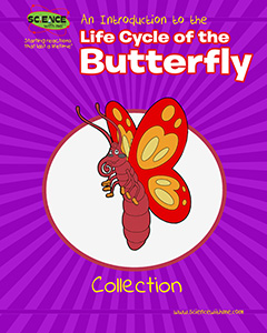 An Introduction to the Life Cycle of the Butterfly Collection