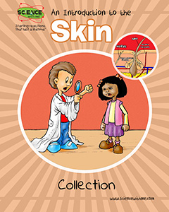 An Introduction to the Skin Collection