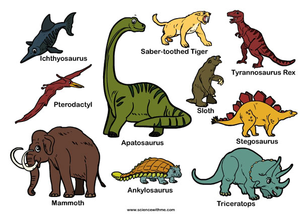 Learn about Dinosaurs