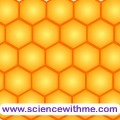 honeycomb