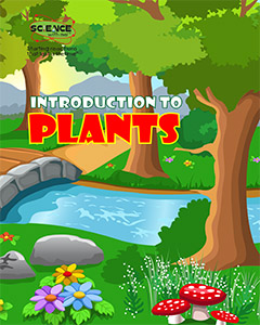 Introduction to Plants