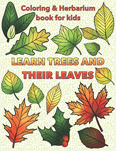 Learn about leaves