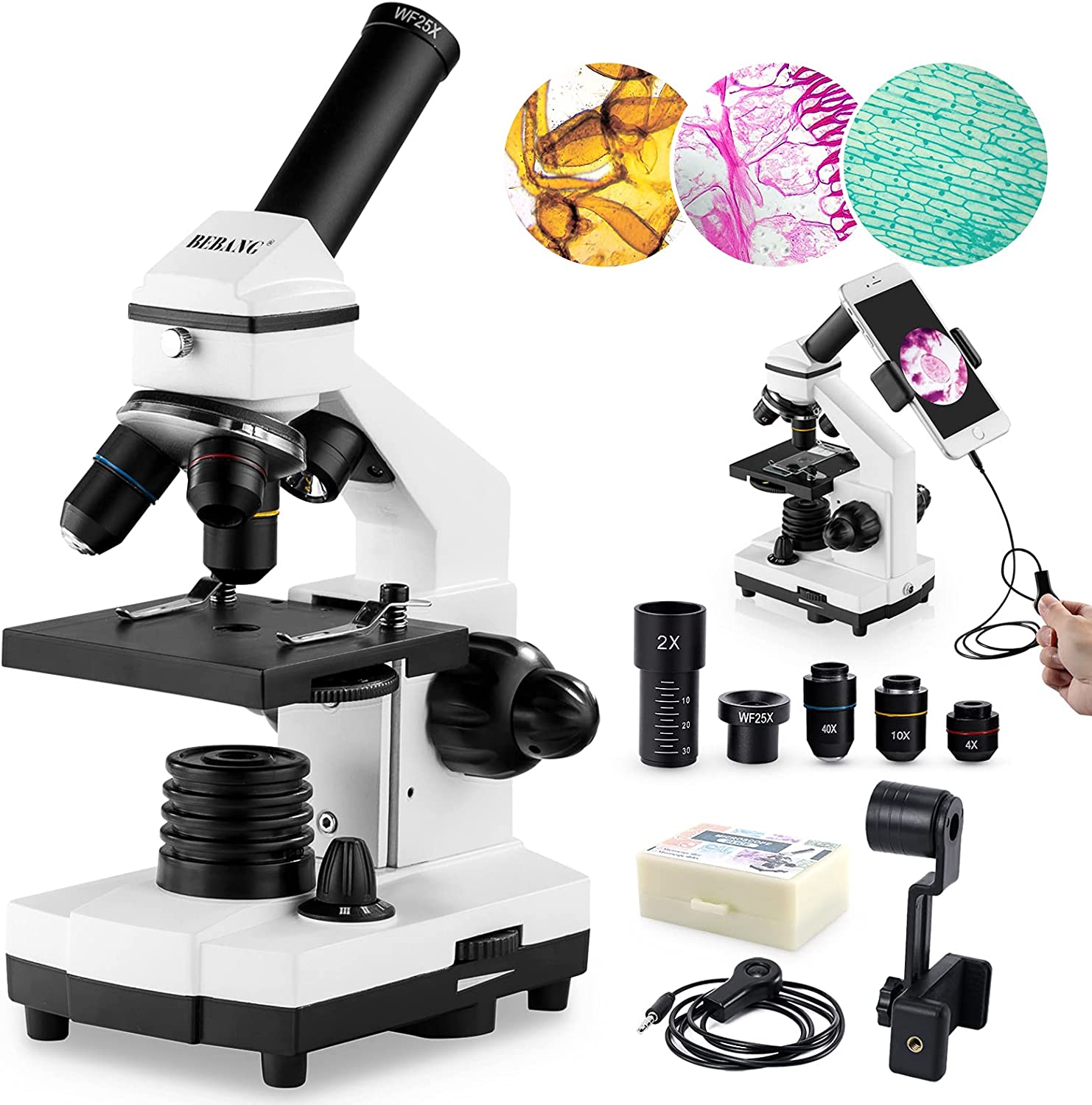 Powerful Biological Microscope