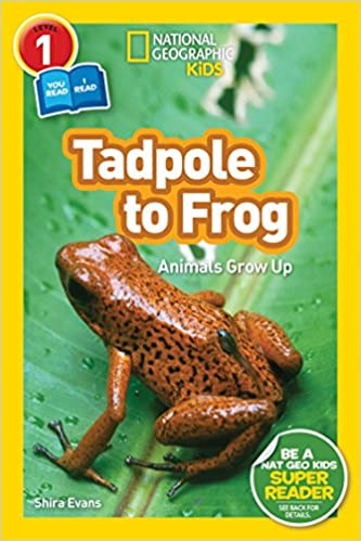 National Geographic Readers: Tadpole to Frog