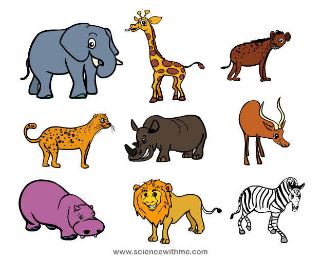 Science With Me - Learn about Safari Animals