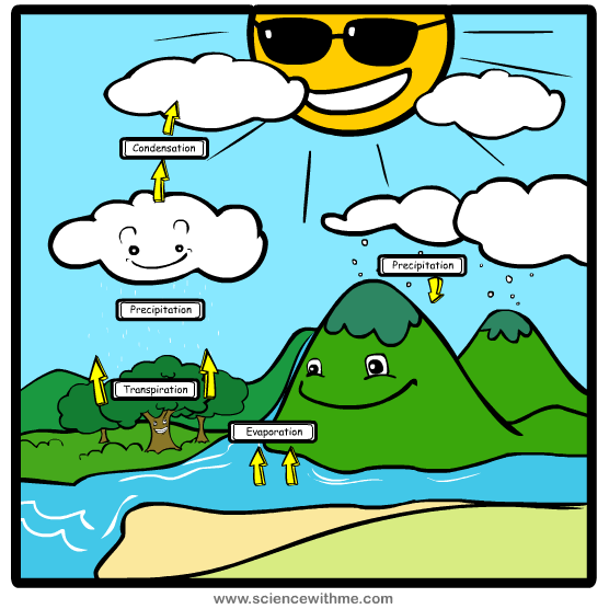 Learn about the Water Cycle