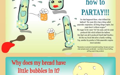 What is Yeast?