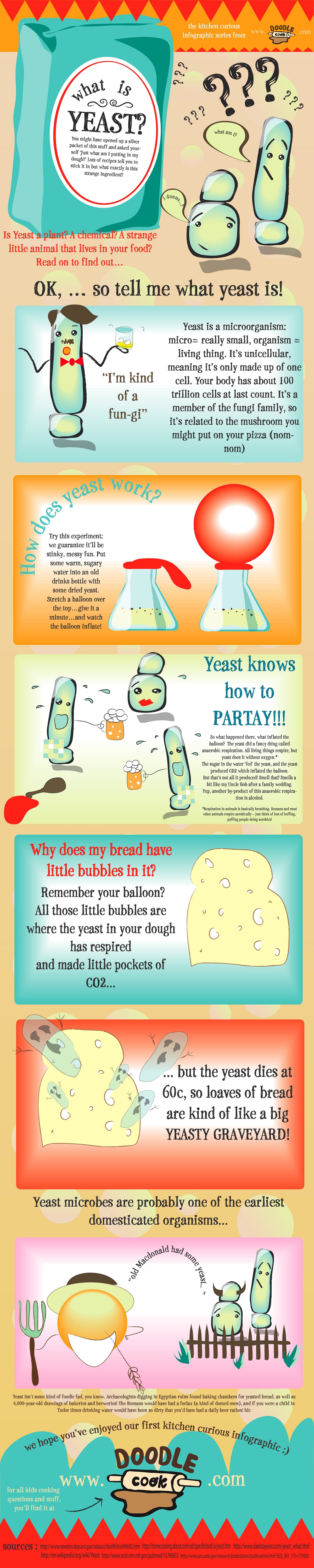 Yeast Infographic